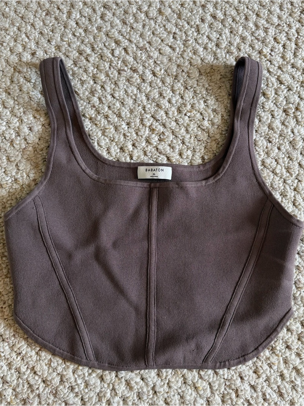 Aritzia Babaton Sculpt Knit Bustier Tank